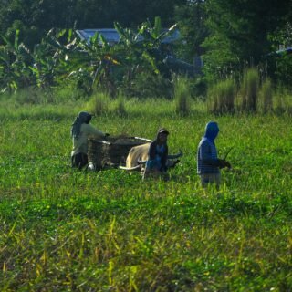 Simulador Imposto de Renda produtor rural Qual o valor do Imposto de renda para produtor rural Imposto de renda produtor rural pessoa física imposto de renda 2025: quem deve declarar Tabela Imposto de Renda 2025 Como fazer declaração de imposto de renda produtor rural Declaração de Imposto de Renda 2025 Produtor rural precisa declarar Imposto de renda