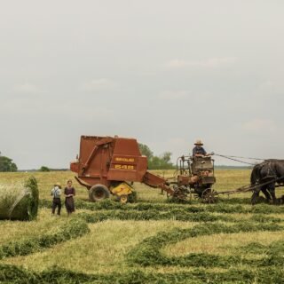 Contabilidade rural