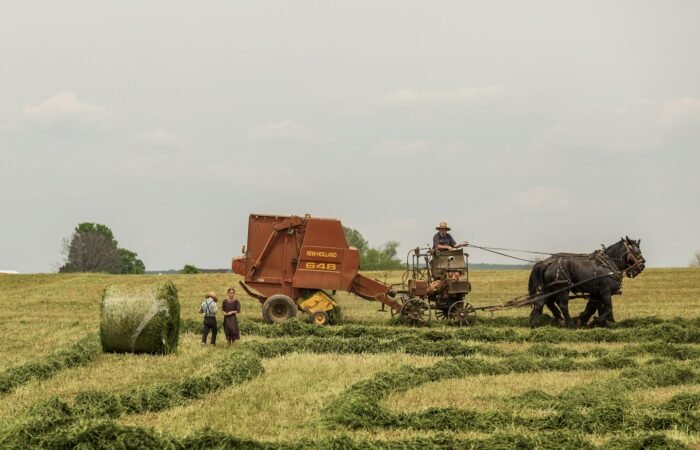 Contabilidade rural