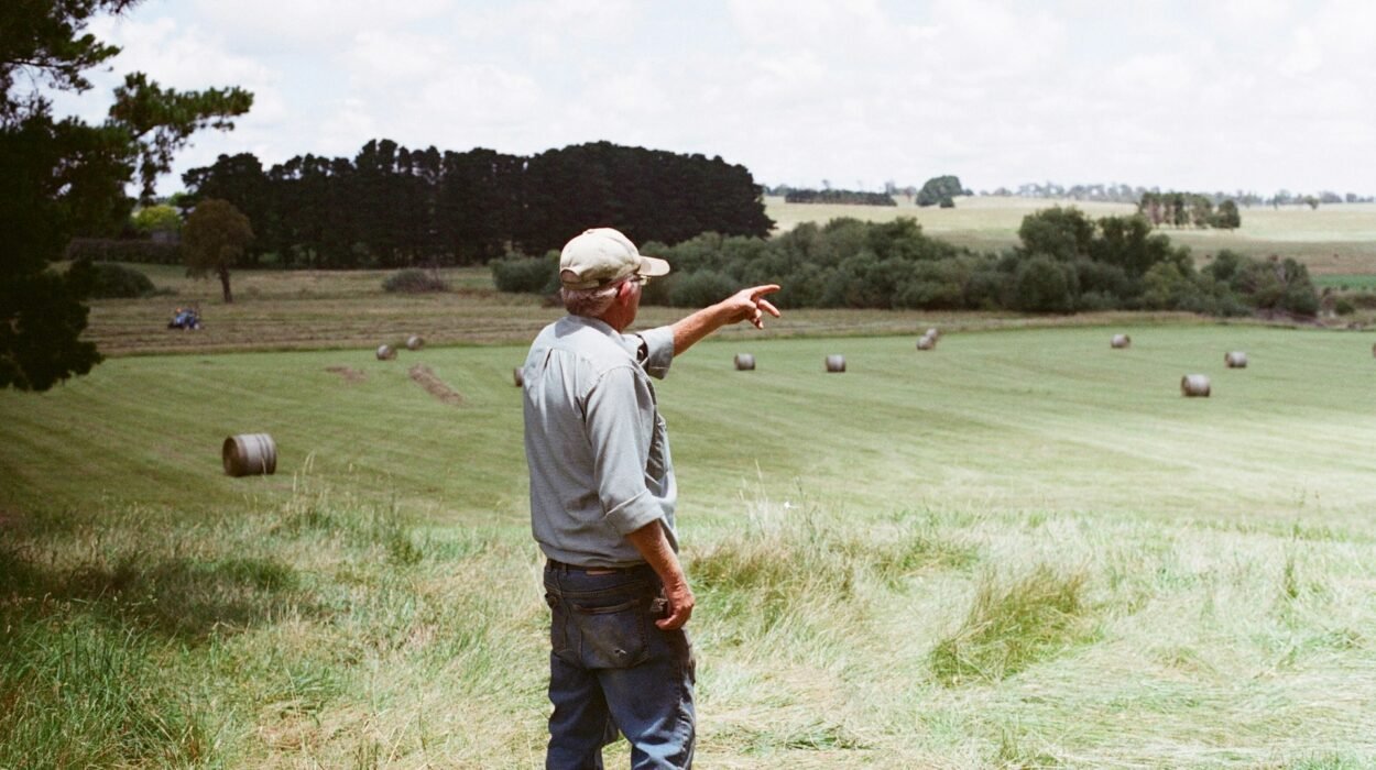 Produtor rural pode ser MEI em outra atividade Aposentadoria rural pode ter MEI MEI Rural aposentadoria MEI Rural atividades permitidas MEI atrapalha aposentadoria lista de atividades permitidas ao mei – segurado especial ofício-circular nº 46 dirben/inss de 2019. Como aumentar a aposentadoria do MEI