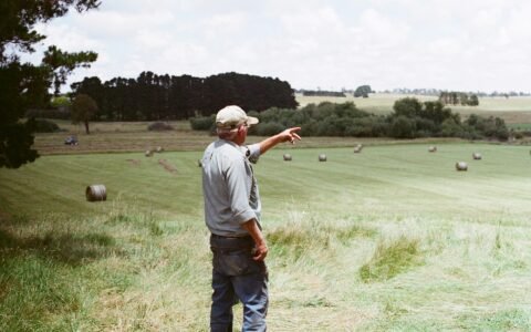 Produtor rural pode ser MEI em outra atividade Aposentadoria rural pode ter MEI MEI Rural aposentadoria MEI Rural atividades permitidas MEI atrapalha aposentadoria lista de atividades permitidas ao mei – segurado especial ofício-circular nº 46 dirben/inss de 2019. Como aumentar a aposentadoria do MEI