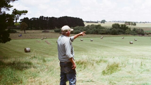 Produtor rural pode ser MEI em outra atividade Aposentadoria rural pode ter MEI MEI Rural aposentadoria MEI Rural atividades permitidas MEI atrapalha aposentadoria lista de atividades permitidas ao mei – segurado especial ofício-circular nº 46 dirben/inss de 2019. Como aumentar a aposentadoria do MEI
