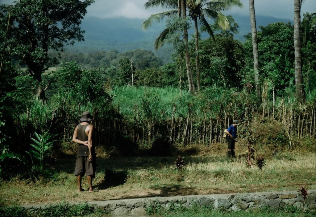 Contabilidade rural PDF Contabilidade Rural livro Contabilidade Rural curso Contabilidade rural salario Contabilidade rural (SENAR PDF) Contabilidade rural TCC Contabilidade rural e agronegócio Escritório de contabilidade rural