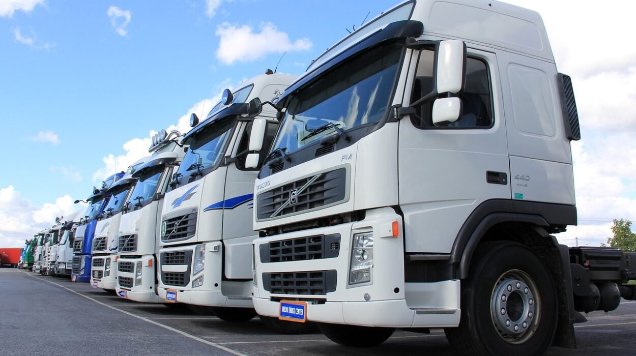 Contabilidade para transportadoras