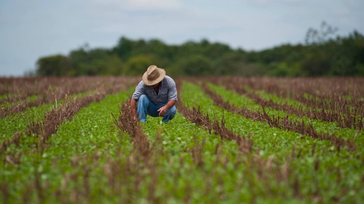 Livro Caixa produtor rural download Modelo Livro Caixa produtor rural Livro Caixa do Produtor Rural 2025 Como fazer o Livro Caixa do Produtor Rural Livro Caixa atividade rural Perguntas e Respostas Livro Caixa produtor rural obrigatoriedade Livro caixa Produtor Rural Excel Livro Caixa analógico Produtor Rural