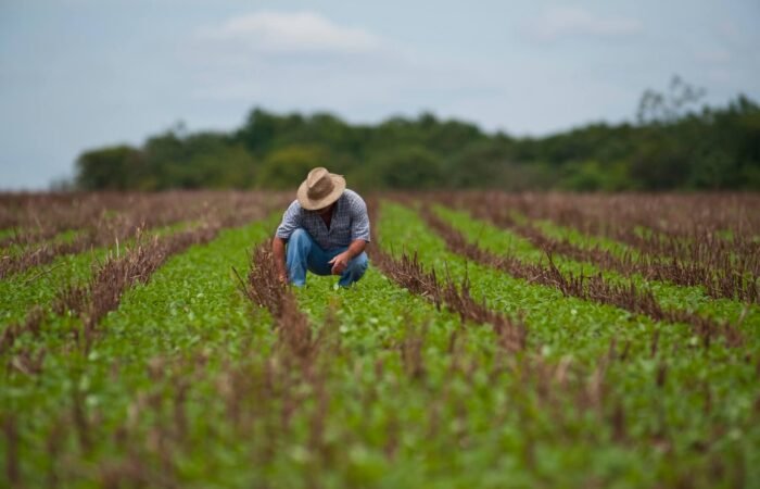 Livro Caixa produtor rural download Modelo Livro Caixa produtor rural Livro Caixa do Produtor Rural 2025 Como fazer o Livro Caixa do Produtor Rural Livro Caixa atividade rural Perguntas e Respostas Livro Caixa produtor rural obrigatoriedade Livro caixa Produtor Rural Excel Livro Caixa analógico Produtor Rural