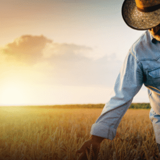 Impactos da reforma tributária no agronegócio Tributação no agronegócio PDF Reforma tributária produtor rural Oportunidades tributárias no agronegócio Reforma tributária produtor rural pessoa física Recuperação tributária agronegócio Parceria rural reforma tributária Reforma tributária e o diferimento para cbs ibs no