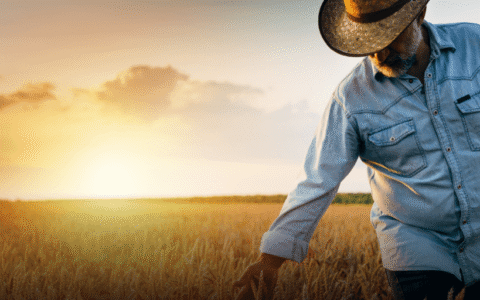 Impactos da reforma tributária no agronegócio Tributação no agronegócio PDF Reforma tributária produtor rural Oportunidades tributárias no agronegócio Reforma tributária produtor rural pessoa física Recuperação tributária agronegócio Parceria rural reforma tributária Reforma tributária e o diferimento para cbs ibs no