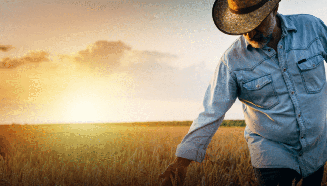 Impactos da reforma tributária no agronegócio Tributação no agronegócio PDF Reforma tributária produtor rural Oportunidades tributárias no agronegócio Reforma tributária produtor rural pessoa física Recuperação tributária agronegócio Parceria rural reforma tributária Reforma tributária e o diferimento para cbs ibs no