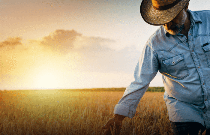 Impactos da reforma tributária no agronegócio Tributação no agronegócio PDF Reforma tributária produtor rural Oportunidades tributárias no agronegócio Reforma tributária produtor rural pessoa física Recuperação tributária agronegócio Parceria rural reforma tributária Reforma tributária e o diferimento para cbs ibs no