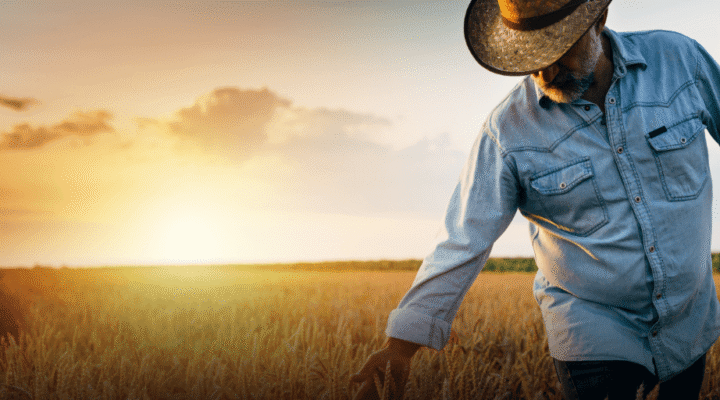 Impactos da reforma tributária no agronegócio Tributação no agronegócio PDF Reforma tributária produtor rural Oportunidades tributárias no agronegócio Reforma tributária produtor rural pessoa física Recuperação tributária agronegócio Parceria rural reforma tributária Reforma tributária e o diferimento para cbs ibs no