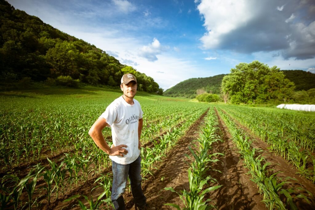 Reforma tributária para produtor rural pessoa física