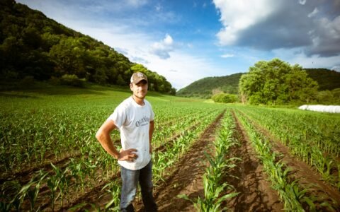 Reforma tributária para produtor rural pessoa física