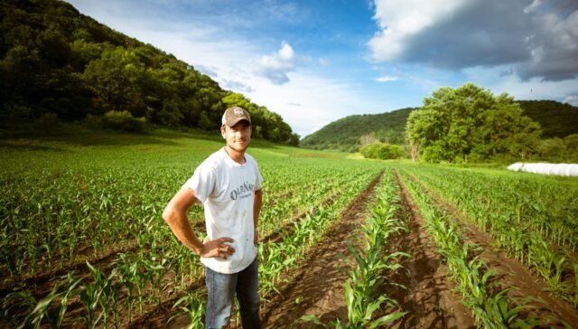 Reforma tributária para produtor rural pessoa física